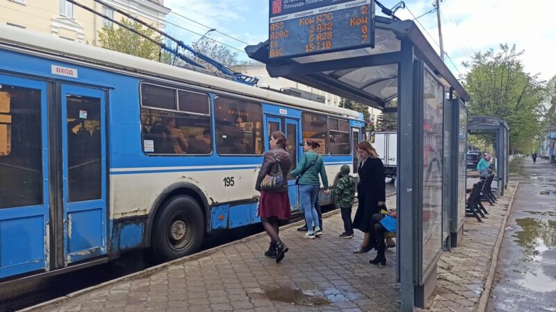 Владимирские перевозчики массово задерживают троллейбусы и автобусы