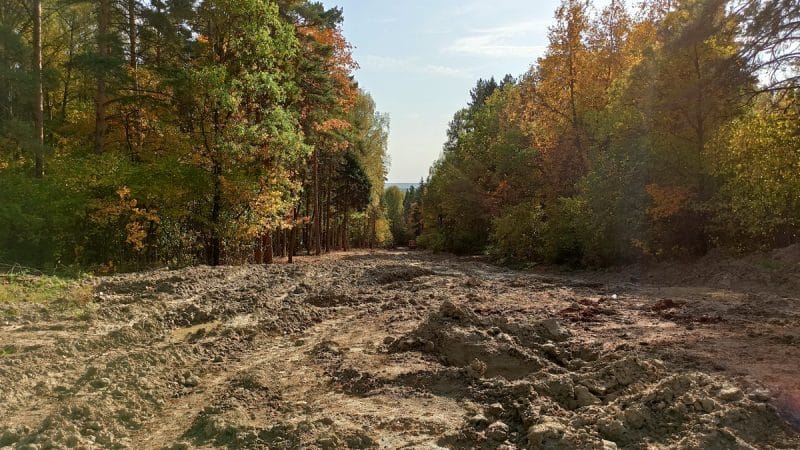 Как спасти парк «Дружба» от застройки дорогой