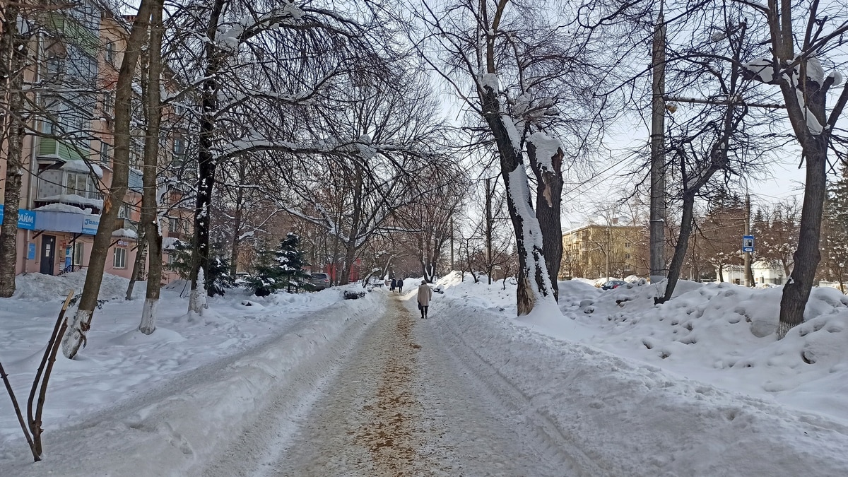 проспект Ленина пешеходная зона
