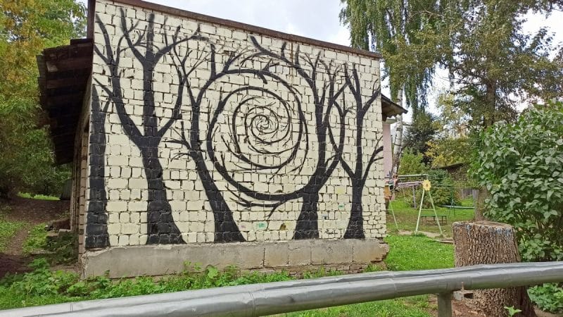 Во Владимире создадут «эмоциональную карту города»