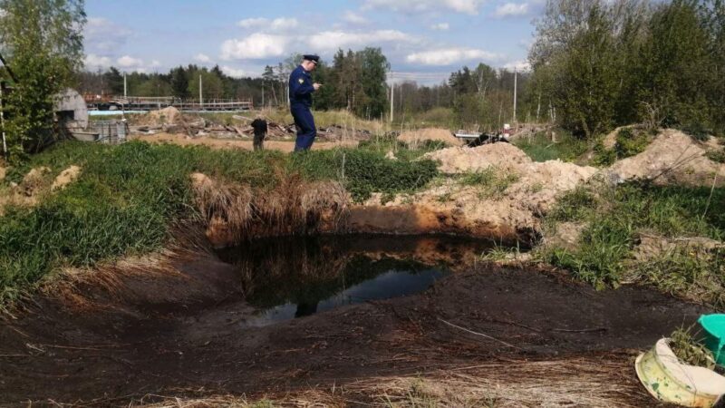 В Киржачском районе из-за загрязнения озера погибла рыба 