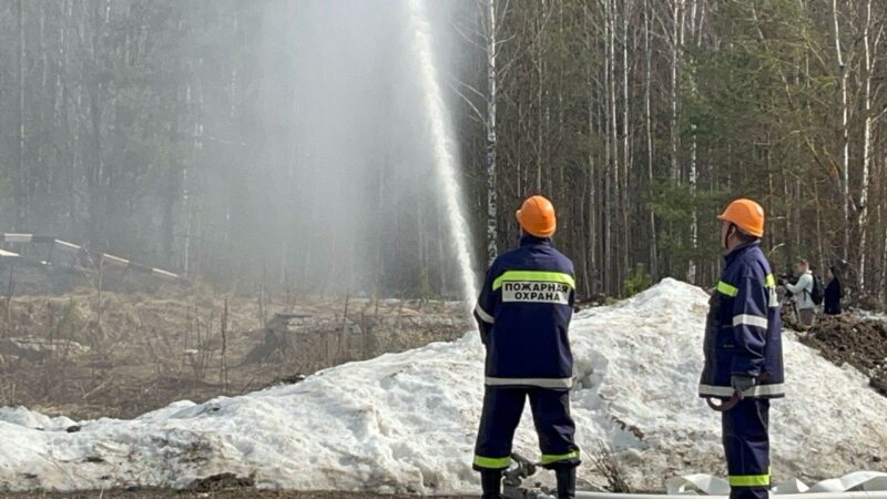 Владимирские лесники получают зарплату ниже средней по региону 