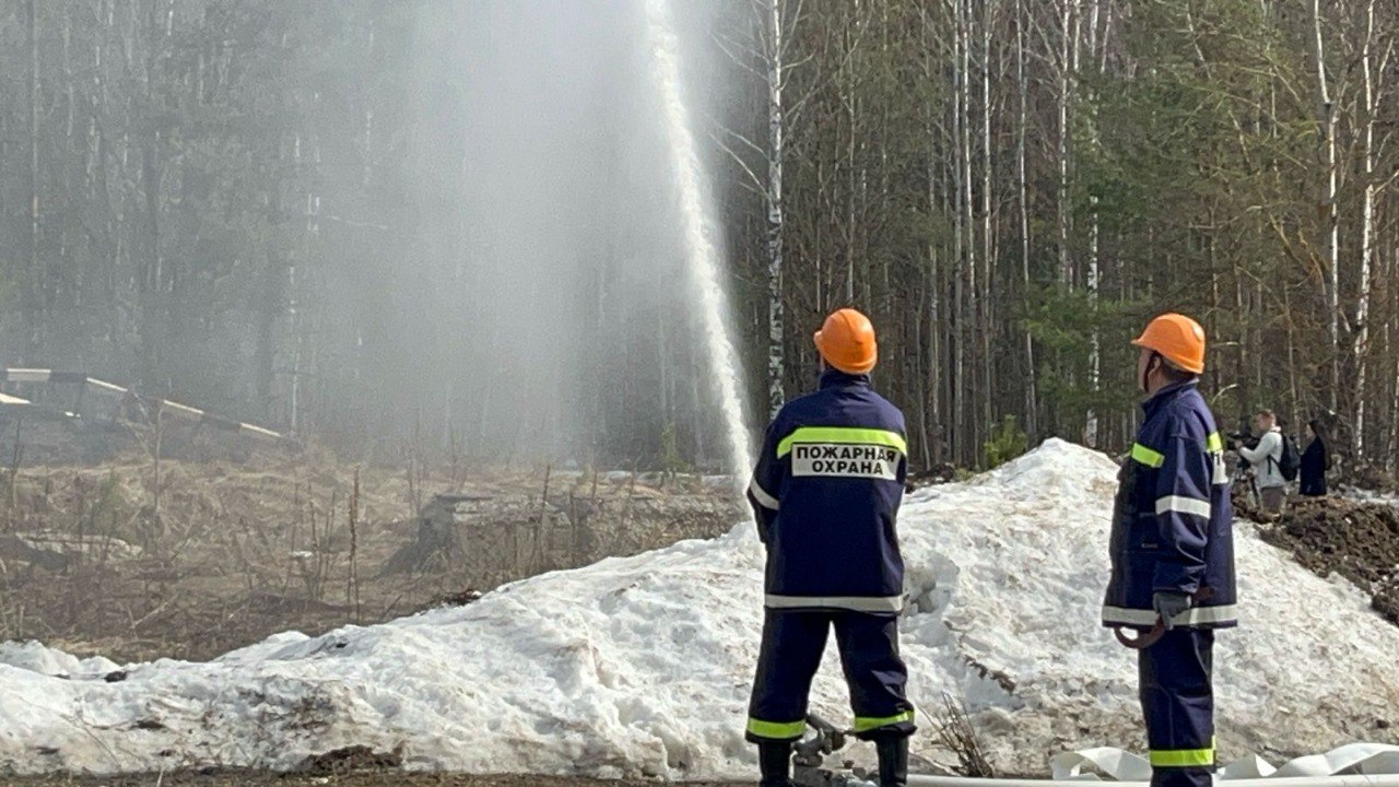 Владимирские лесники получают зарплату ниже средней по региону