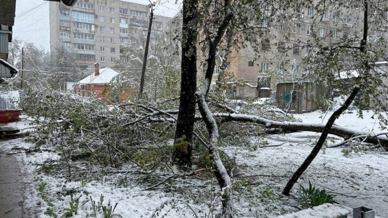 Майский снег парализовал запад Владимирской области
