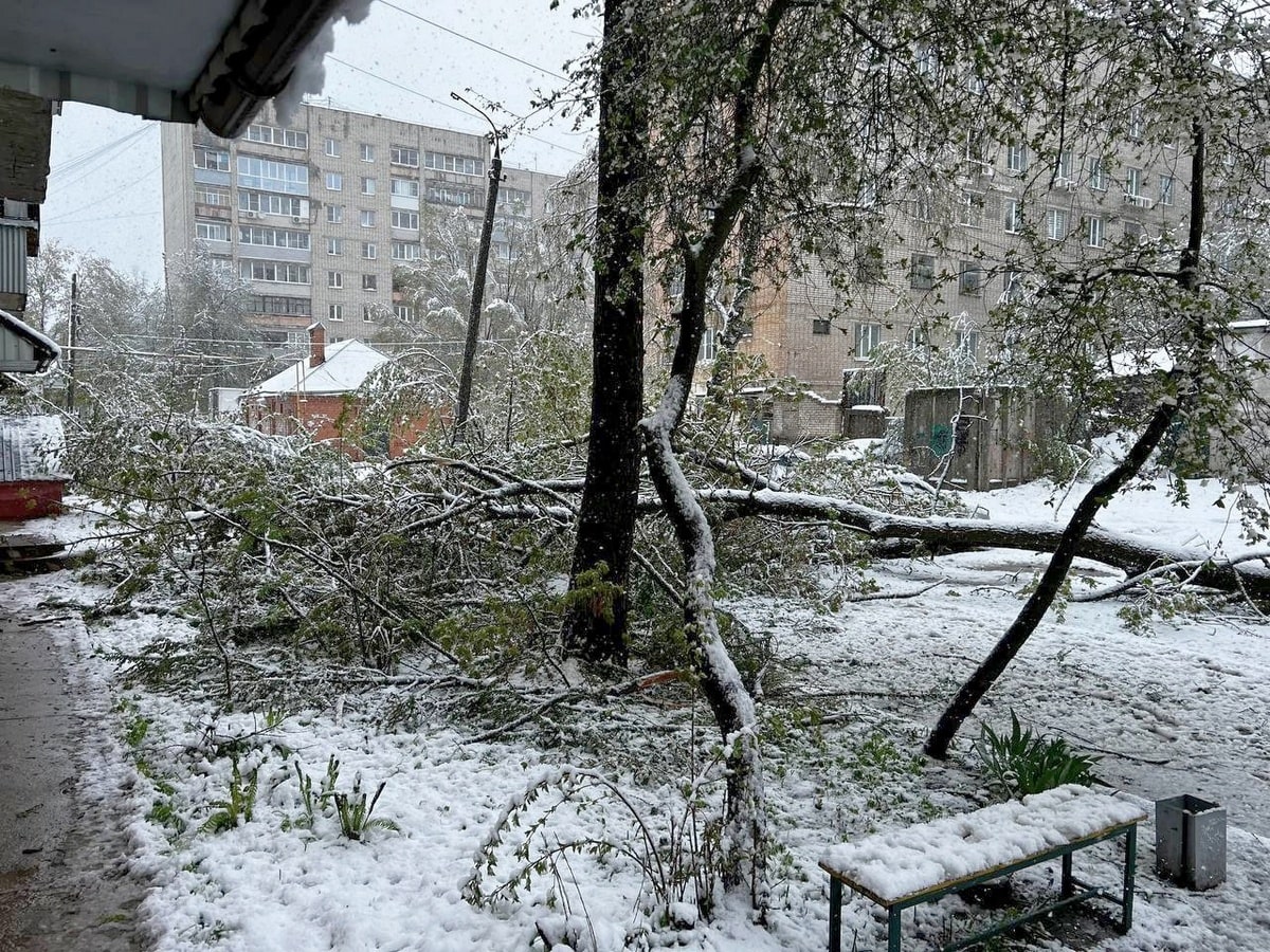 Майский снег парализовал запад Владимирской области