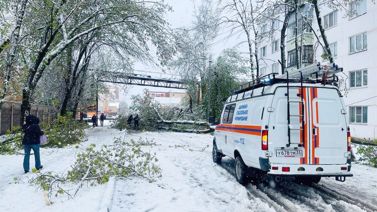 Александров снег прокуратура 2