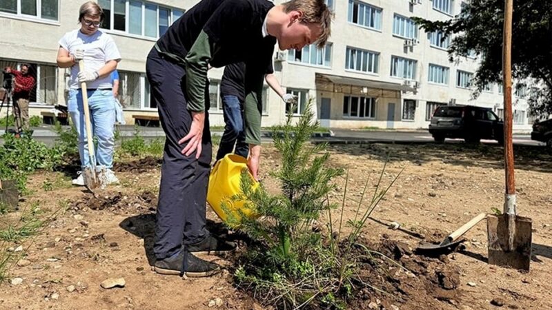 Во Владимире высадили аллею молодых докторов