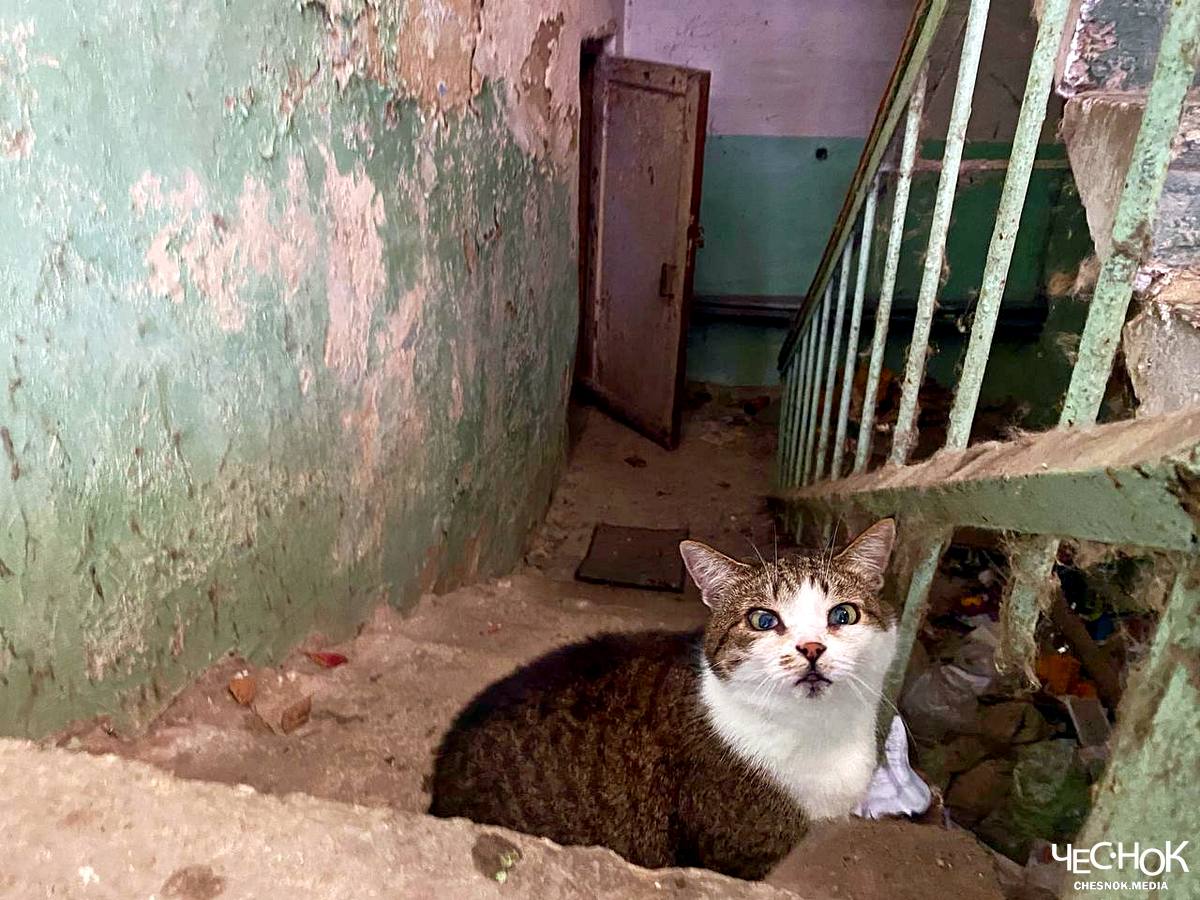 Застряли во времени. Жильцы аварийки в центре Владимира опасаются за свои жизни