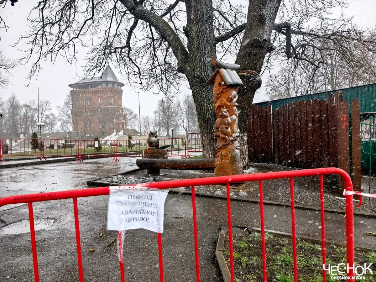 Аварийный дуб центр 4