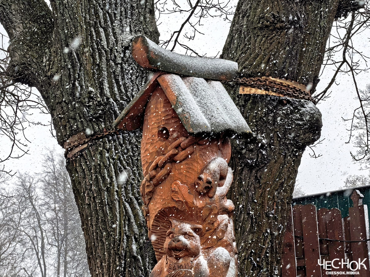 Аварийный дуб центр 4