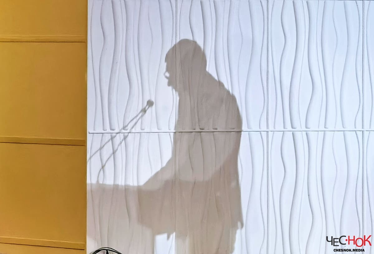 Авдеев ЗС тень 2