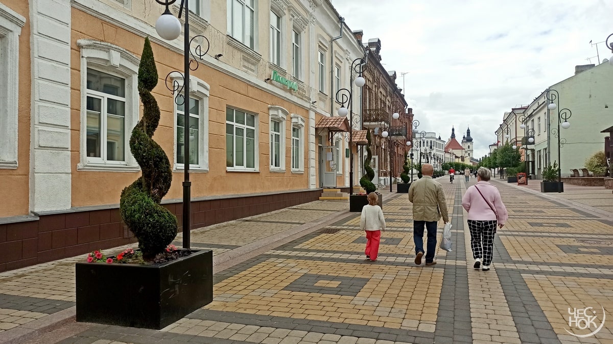 Подсмотрено у Батьки. Как легко и дешево благоустроить Владимир | Чеснок