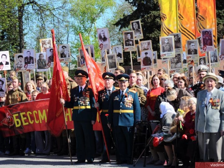 День Победы во Владимире отпразднуют без шествия и салюта