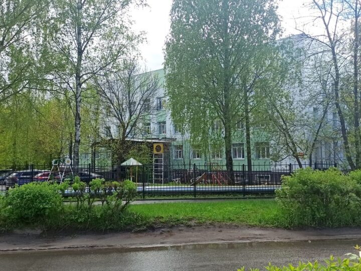 Белый дом присоединит горбольницу №2 во Владимире к Красному кресту