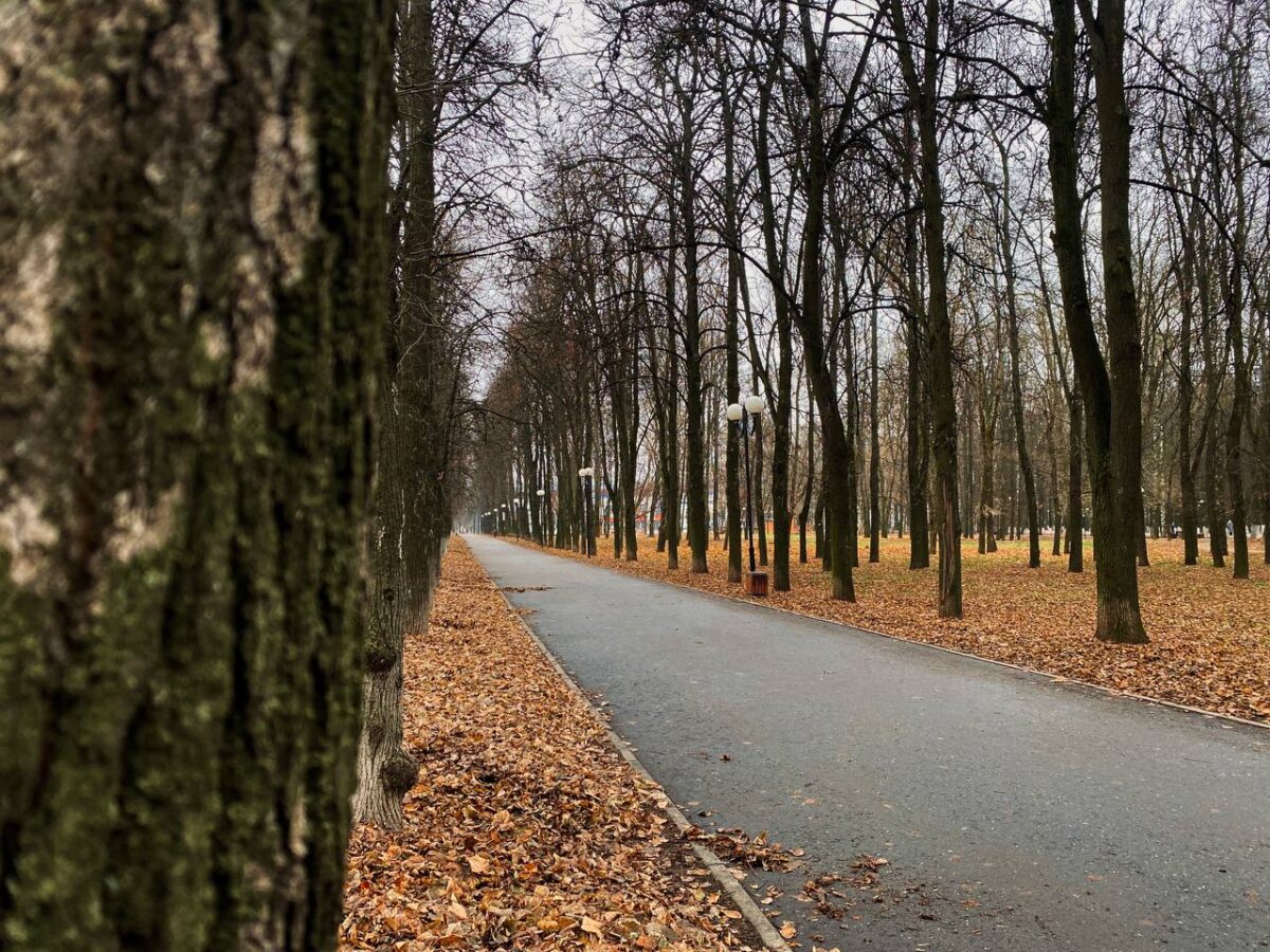 Центральный парк