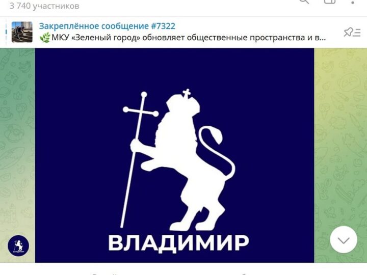 Мэрия Владимира объяснила закрытие чата с жителями в Телеграме