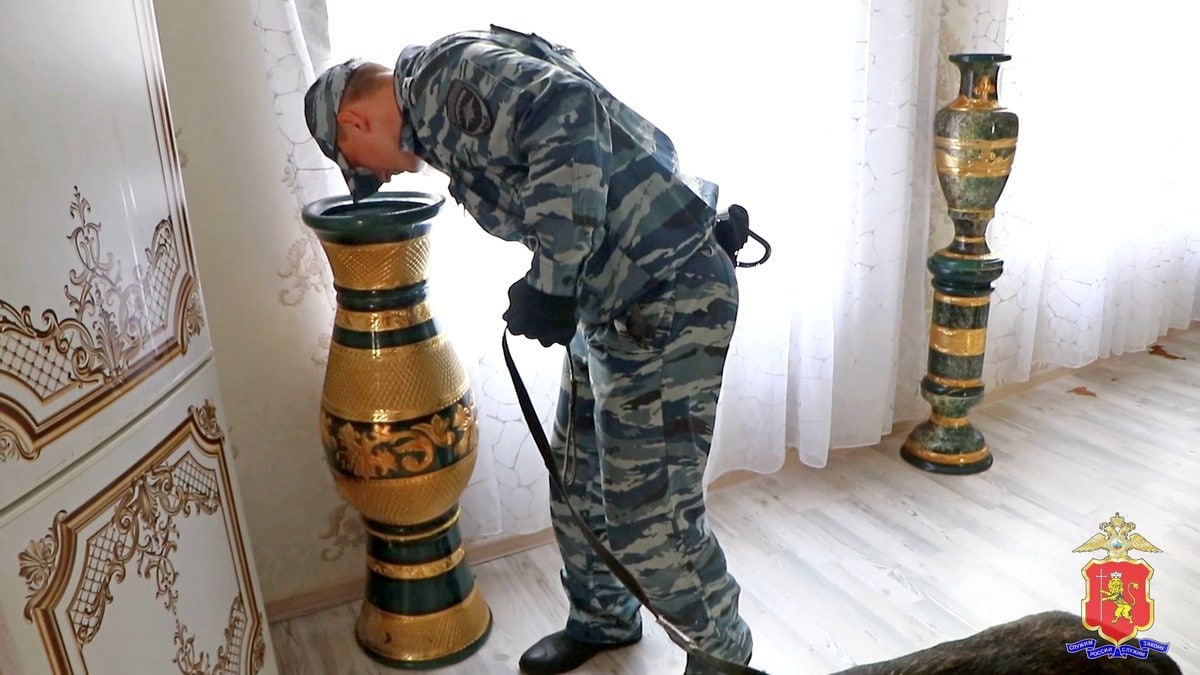 Цыгане рейд полиция МВД роскошь-min