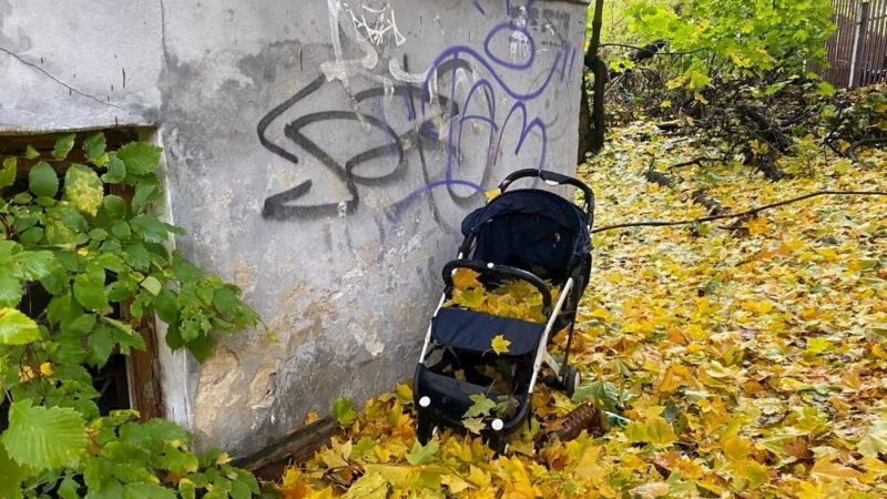 Рождаемость во Владимирской области за 10 лет упала в два раза