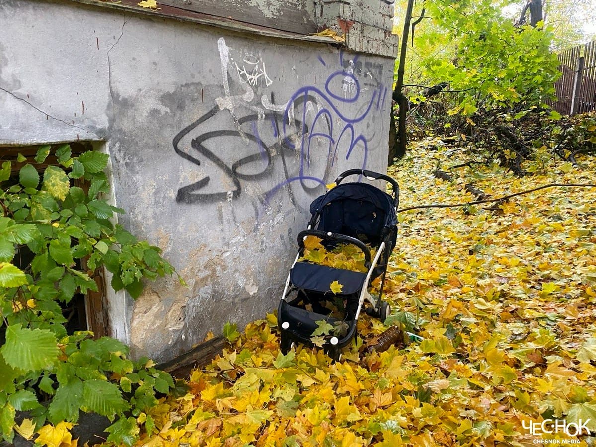 Рождаемость во Владимирской области за 10 лет упала в два раза