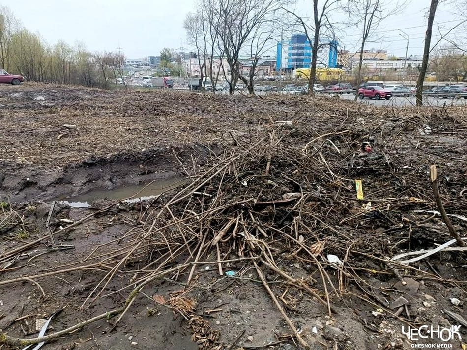 Мэрский субботник во Владимире окончился вырубкой деревьев