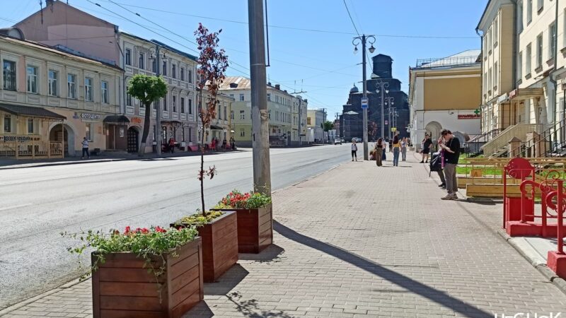 В центре Владимира появились деревья в кадках