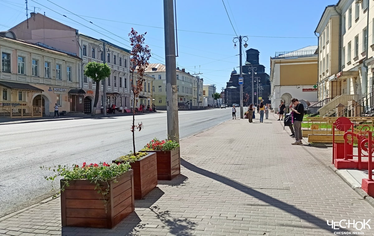 В центре Владимира появились деревья в кадках