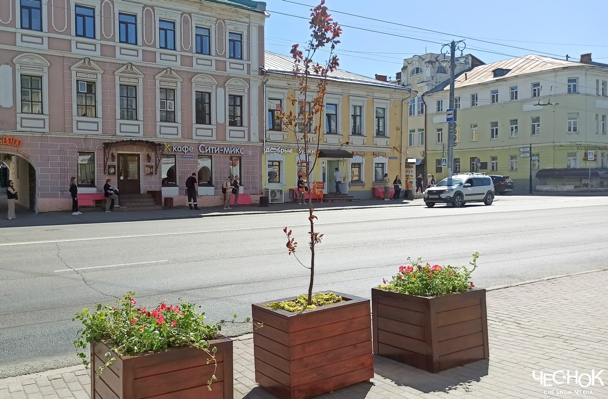 Деревья яблони центр 4-min
