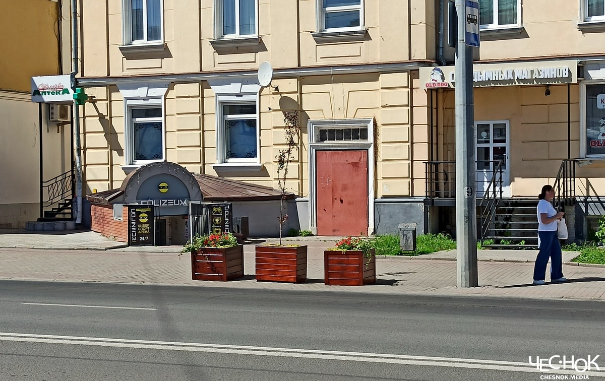 Деревья яблони центр 4-min