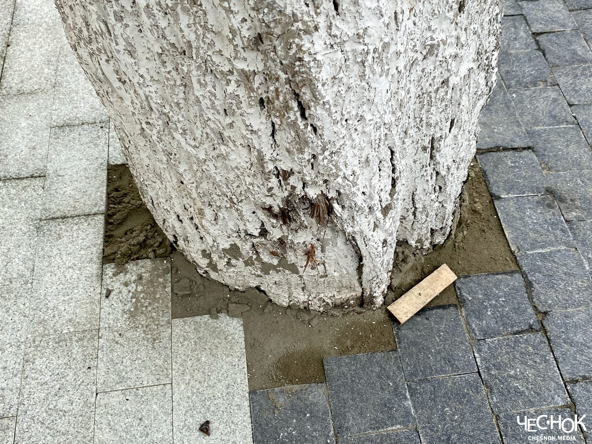 Дерево замуровали 3