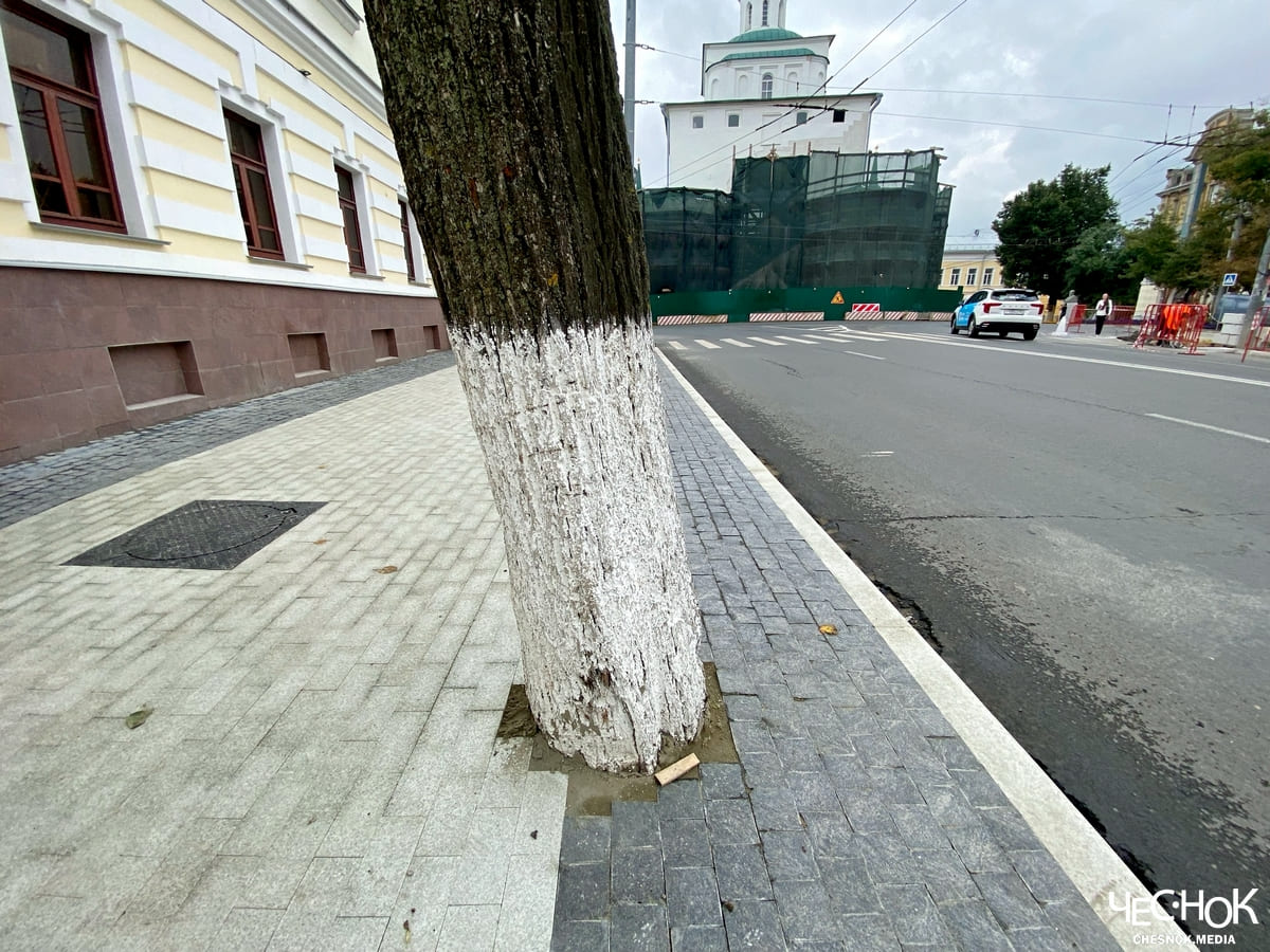 В центре Владимира плиткой замуровали деревья