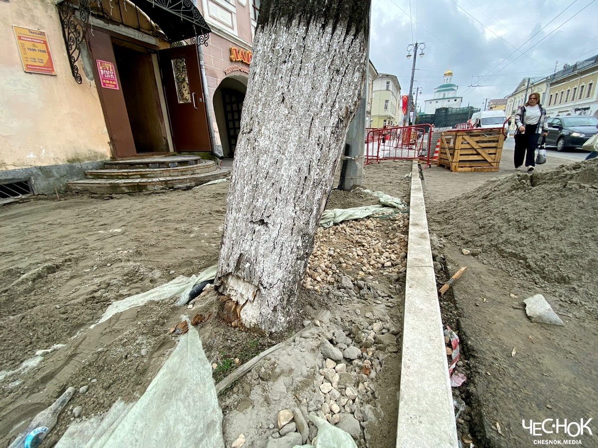 Дерево повредили 6
