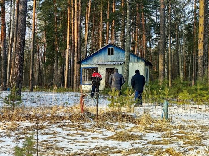 В Селивановском районе продают закрытый детский лагерь