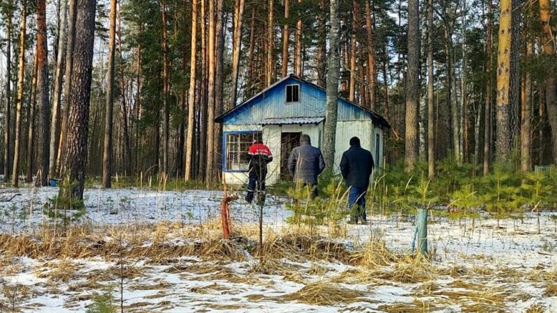 В Селивановском районе продают закрытый детский лагерь