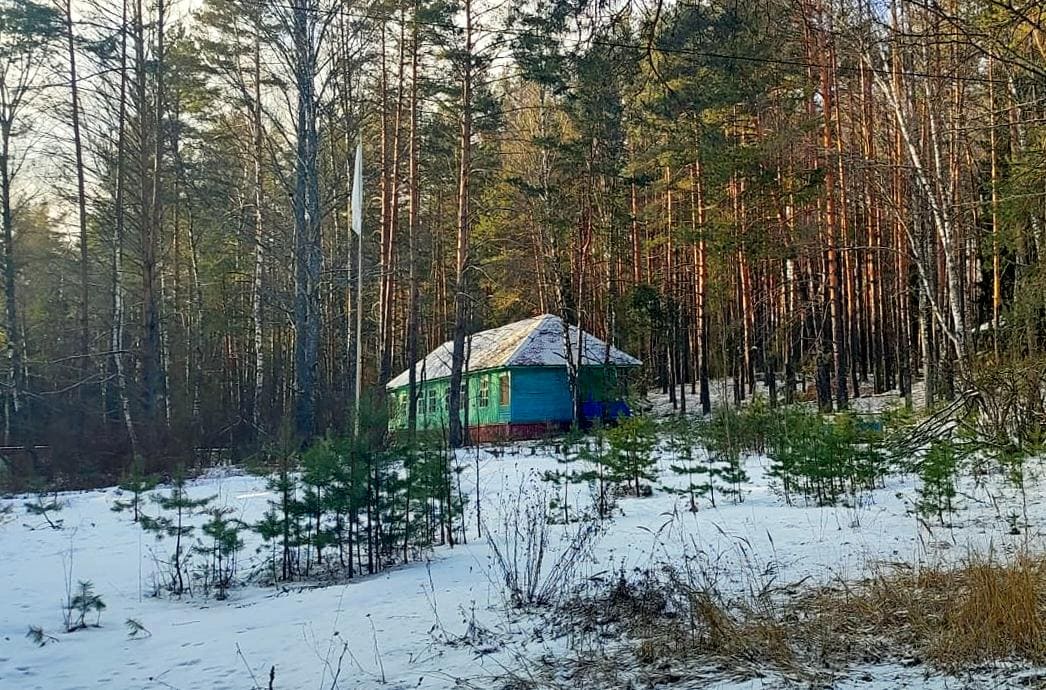 Детский лагерь Селиваново 4