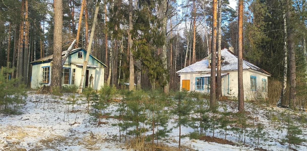 Детский лагерь Селиваново 4