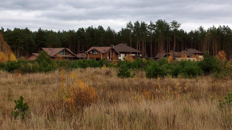 Наумов согласовал вырубку леса под элитную застройку Шешенина