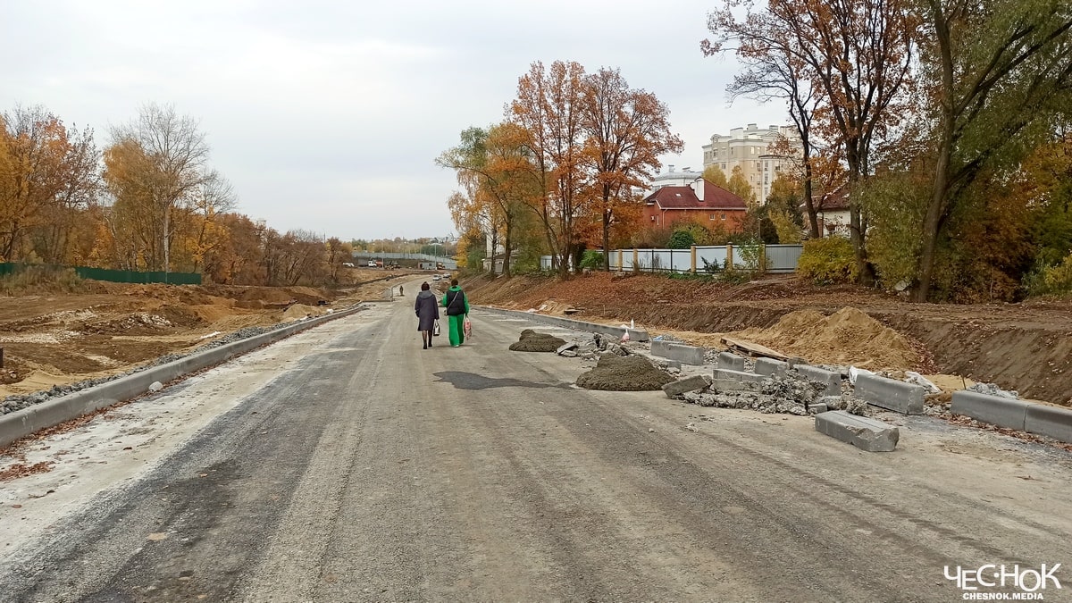 Дорогу через парк у ДТЮ не построили в срок