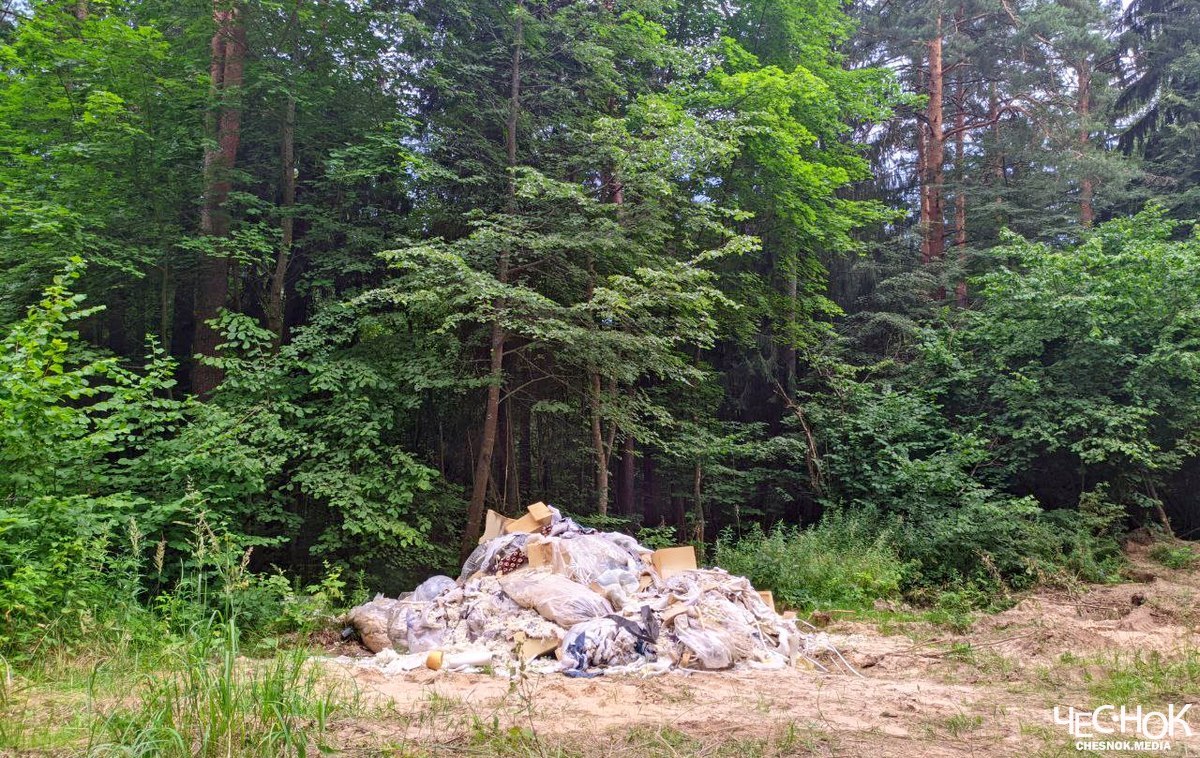 Дружба свалка мусор парк 4