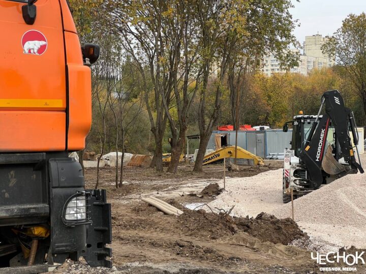 Мэрия Владимира продолжит вырубку парка у ДТЮ несмотря на охранную зону родника