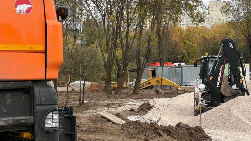 Мэрия Владимира продолжит вырубку парка у ДТЮ несмотря на охранную зону родника