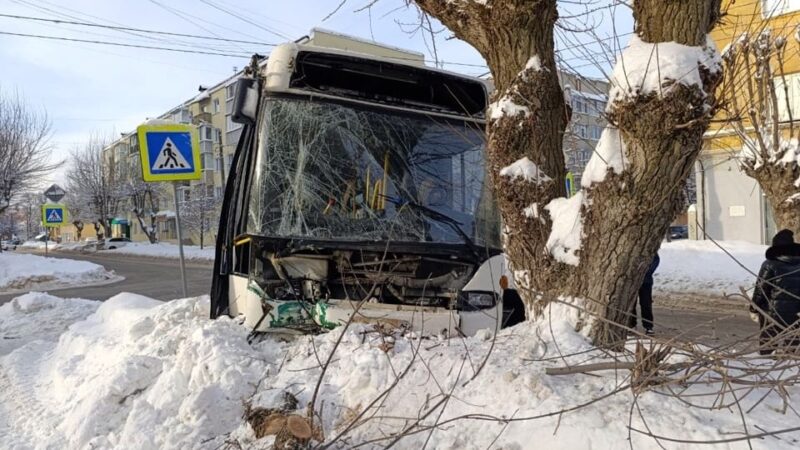 Автобус с пассажирами в Муроме попал в ДТП и врезался в дерево