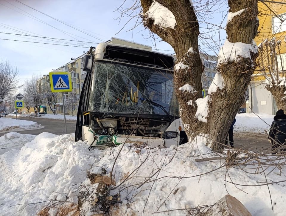 Автобус с пассажирами в Муроме попал в ДТП и врезался в дерево