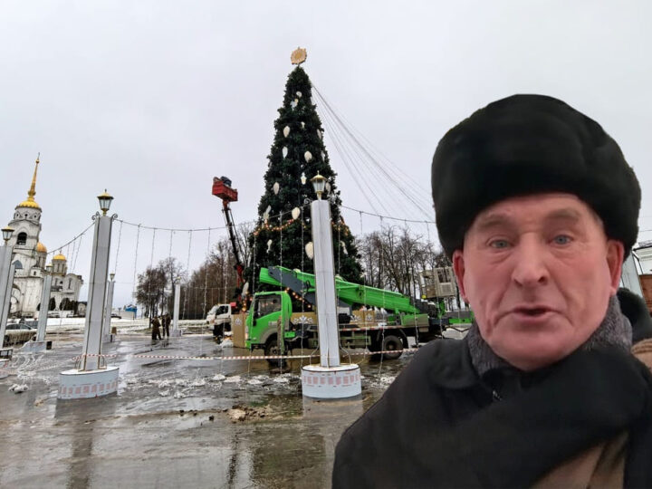«Елочка вам нравится?». Мэрия покупает новую елку за 12,5 млн рублей