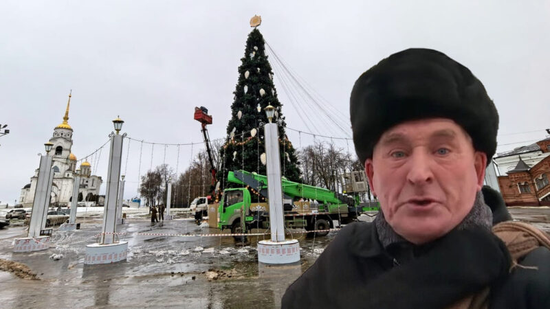 «Елочка вам нравится?». Мэрия покупает новую елку за 12,5 млн рублей