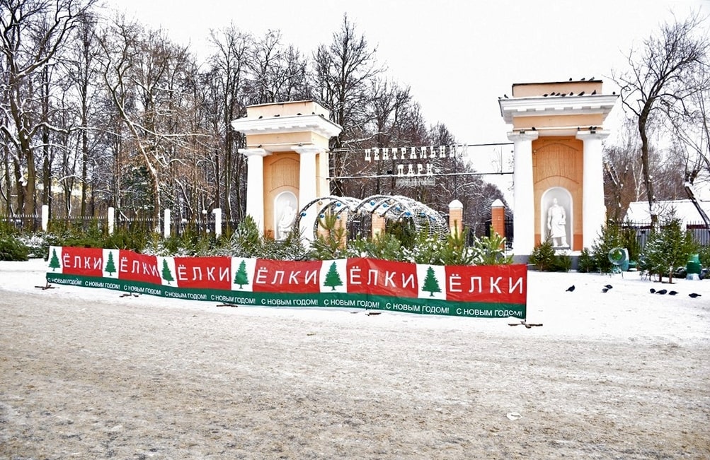 Где во Владимире можно купить новогоднюю елку?
