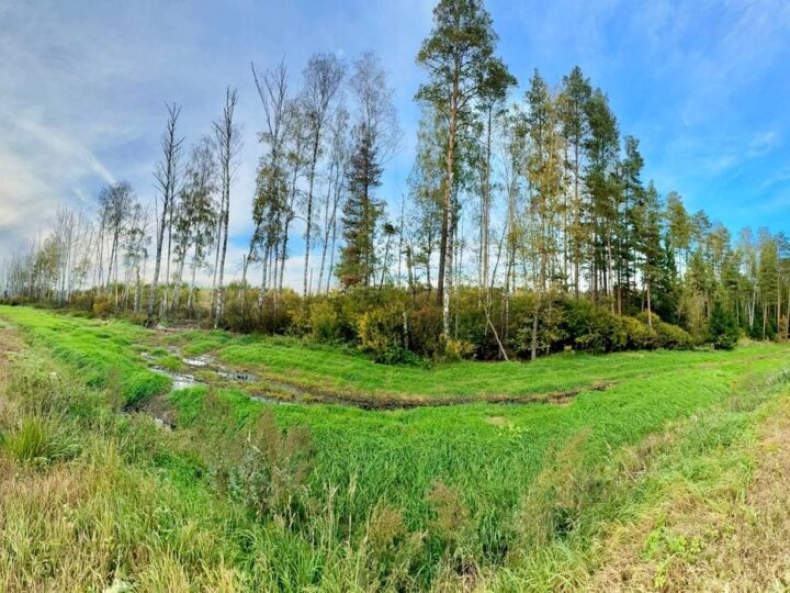 Ядовитый фильтрат с Марьинского полигона пустили к реке