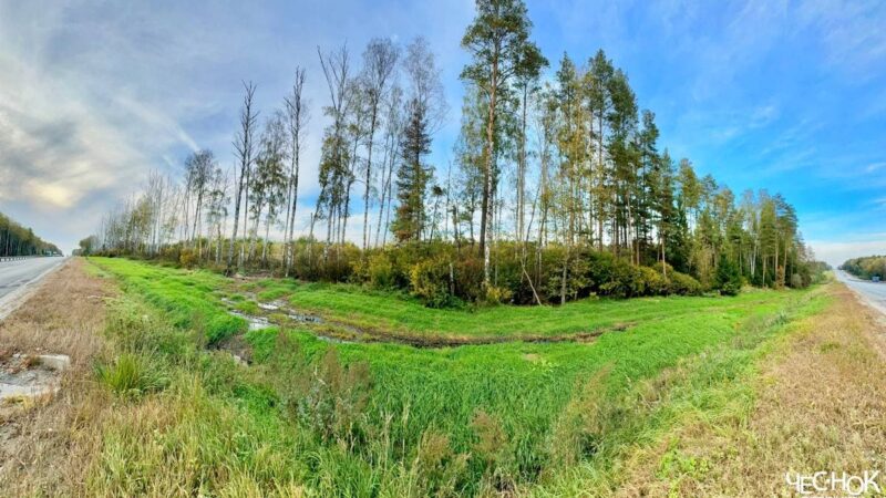 Ядовитый фильтрат с Марьинского полигона пустили к реке