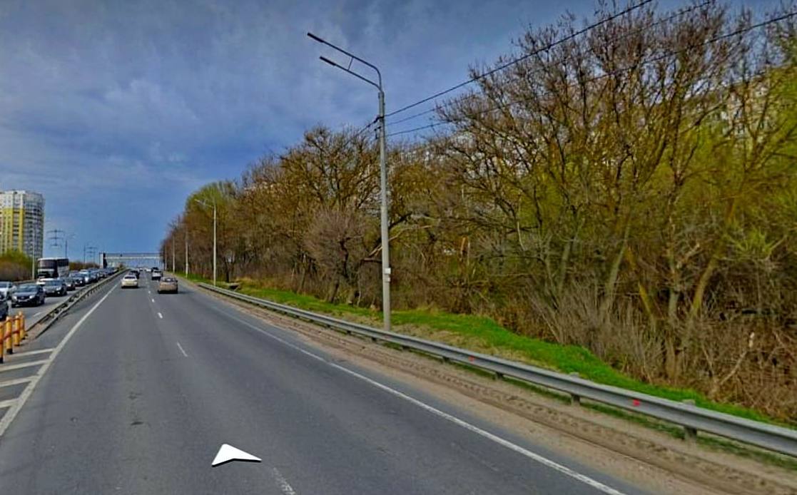 Горького Пекинка деревья 2