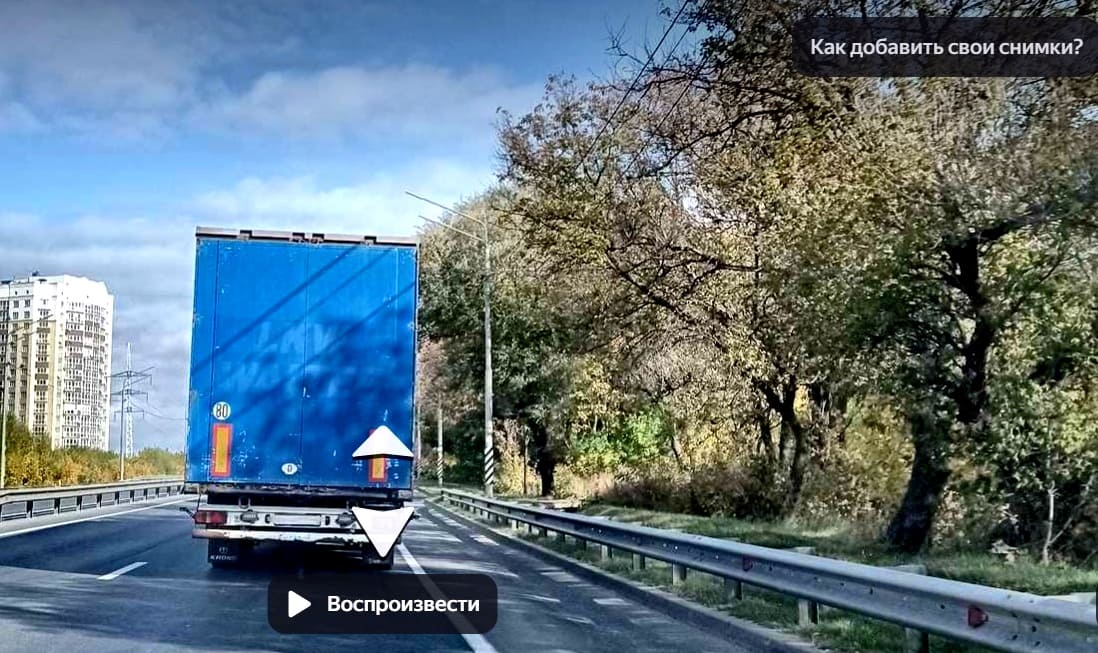 Горького Пекинка деревья 3