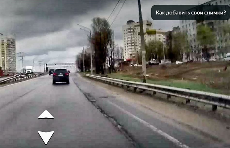 Горького Пекинка деревья